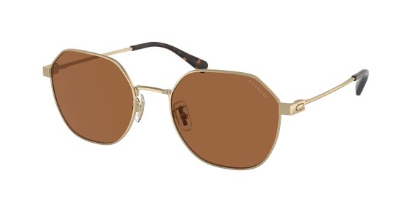 Coach CL915 HC7155 Irregular Sunglasses For Sale - Image 2