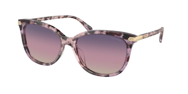 Coach CL926 HC8378U Cat Eye Sunglasses on Sale - Image 5