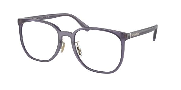 Coach HC6215D Square Eyeglasses Online Hot Sale - Image 5